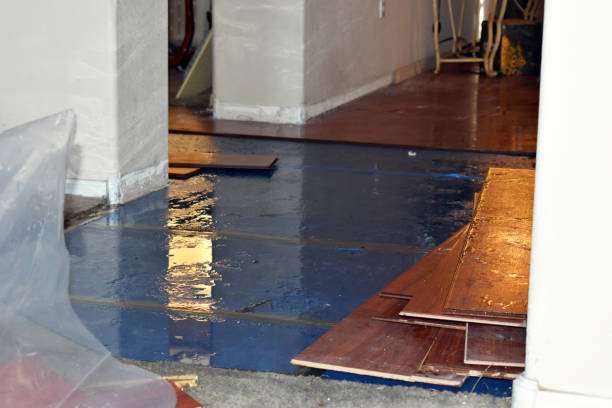 Professional Storm Water Damage Restoration technician working in Bloomfield, NM